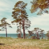 Fin utsikt, från strandplatserna och hela vägen upp