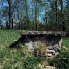 Broddetorps ödekyrkogård, maj 1993. Foto: Åke Johansson.