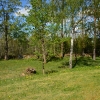 Ottravads Gamla Kyrkoplats