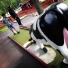 Bild från Eksjö Camping & Konferens av @jenny_pict - Eksjö camping tar äventyrsgolf på allvar.