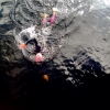 Bild från Gösjön av @linatriathlet - Morning swim done ✨