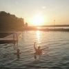Bild av @annamagdalenaf - Kvällsjoggbadarna! #nofilter @maria.venall @denodell