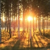 Bild från Medskogssjön av @fribergulrika - #medskogssjön