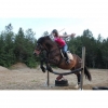Bild av @equineriding - Today we was in the swimingpool called Storsjöbadet