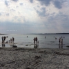 Bild från Hästholmen, Åsa av @timlan - Today we went to visit some friends and went to the beach together.