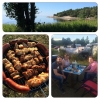 Bild från Halmstad Camping av @leffe_a - En skön dag avslutas med besök på campingen. Kycklingspett o korv på grillen, till det potatissallad,gratäng o potatisklyftor.
