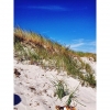 Bild från Ljungens Camping av @laurielionheart - 