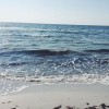 Bild från Strandbaden @ Falsterbo Beach av @selmawhaat - Med musik i öronen och denna utsikten klarar jag mig mer än bra