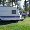 Mysigt under tallarna på Sandskogens Camping.