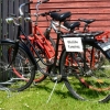 Hos oss på Olofsbo kan du hyra cyklar