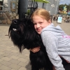 Bild av @frkmouna - Bestevenner❤️ #smil #daftøcamping #sommer #sommerferie #kos #lykke #riesenschnauzer