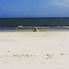 Bild av @ceccilo - Borrby strand, Skåne