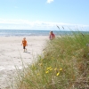 Borrbystrand alldeles intill campingen.