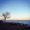 Bild av @byangiebsf - #Kivik #today! :) You have no idea how many #stones I have from Kiviks #beach :D our #plan is to visit some #awesome #places every #wednesday or/and #sunday :) #resa #strand #tree #beautiful #sverige #perfect #lovethis