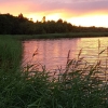 Bild från KronoCamping Lidköping av @kfuresund - Solnedgang ved Vänern 
#kronocampinglidköping #kronocamping #vänern #lidköping #lackokinnekulle #solnedgang #sunset #ferie #skyer #vakkert #camping #strå #vann #instagood #instadaily