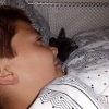 Bild från KronoCamping Lidköping av @jennyeriksson501 - Linus o Tassen sover tillsammans  i husvagnen