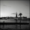 Bild av @sthilbild - Vi har palmer även i Stockholm#Stockholm#palm#vatten#riddarfjärden