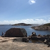 Bild från Wiggersviks Camping, Kungshamn av @miapja - Inte konstigt att man älskar detta stället ✨ Härlig fm promenad och bad efteråt. Bästkusten levererar 