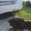 Bild av @camillajernbeerg - Nu kör vi camping i några dagar!
