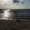 Bild från Ringsjöstrand av @nthorborg - Solnedgang i det svenske 