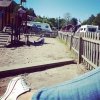 Bild från Marstrands Camping av @sofiesoederberg - #detljuvacampinglivet