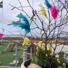 Glad Påsk! Det finns fortfarande platser kvar till årets påskbuffe på restaurang Strandkanten! I köket förbereds det för fullt! Bland annat: Sill, lax, västerbottenpaj, ädelostkål, fänkål och rosmarinsdoftande karre, matvetesallad med mera. Sittning långf