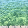 Bild från 