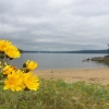 Bild från Fläsians Camping av @sisselmyrvang - #sundsvall på tur #nordover  traveling north 