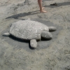 På stranden gör barnen sandfigurer
