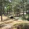 Stugområdet