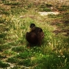 Bild från Ekuddens Camping Mariestad av @lillsy46 - #fikk besøk på Ekuddens camping Mariestad#Sverige
