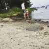 Bild från Almöns camping av @isabellelejdfelt - Lillskruttans första dopp för i år! ☺️