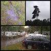 Bild från Ursand Resort & Camping av @annsopandan - Regn, blåst, grå himmel och vattensjuka campingplatser. Nu lämnar vi snart detta och drar vidare norrut.