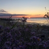 Bild från Eriksöre Camping av @villadovre - 