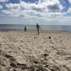 Bild från Sonjas Camping av @h_mountain80 - Beachen idag! #sonjascamping #öland #semester #beach