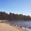 Bild från Bredsand Strand av @bellanylen - Gick på långpromenad idag och tänkte svalka mig med ett dopp men stranden var visst förbokad av andra.. 