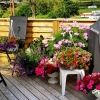Bild av @bittan.persson - I lä från stormen???? Som aldrig kom....solen kom i stället!!! #undacamping #u7d #sweden #tv4vädret #uddevalla #blommor #oväder #sol #sommar2015