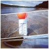 Bild från Stranden Orbaden av @clasen22 - Inte för kallt för att bada...
#hälsingland #orbaden #hälsinglandsrivera