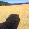 Bild från Hälsinglands Riviera, Orbaden av @phs570 - Extra semesterdag och kanske årets sista bad med @marieen59