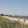 Stranden vid Böda hamn där det också finns avdelat ett hundbad.