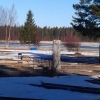 Nu börjar man se att det går åt rätt håll! 
Det tinar ganska bra, det far fort nu. Kanske snöfritt till valborg?
Var ute på campingen i morse kl 07,00 och det var strålande sol, svanarna simmade utanför bastun. Tranorna var också på besök.
och naturlig