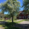 Glassigt väder i Tyrislöt idag, soligt och varmt, vi njuter!