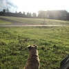 Bild från Himmelstalunds Campingen av @maggisspennare - Sun is shining here