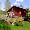 It is going to be green and more green in the sunny spring-weather  at Tiveden !