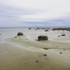 Bild från Landön av @ewajonsson - #landön 