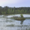 Bild från Dalsland, Sweden av @torhild_bj - One nore photo from this morning, while I was out in the blowy and rainy weather, looking for birds.
 If you look well at the picture, you can see 2 ducks swimming out there