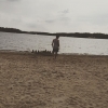 Bild från Stenö av @jobransakeraltaweel76 - #beachday