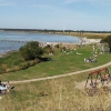 Bild från Barsebäck Sjöbobadet av @mgb.hansson - #vandringsled mellan hamn o campingen#Barsebäck