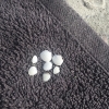 Bild från Barsebäcks Strand av @ssooffiiee_k - #små #snäckor #barsebäck #barsebäckstrand #strand #stranden #sand #handduk #grå #sommar #sol #söndag #sola #bada