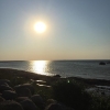 Bild från Barsebäcks Strand av @mampia - Blir kanske kvällsdopp...